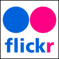 flickr Commons
